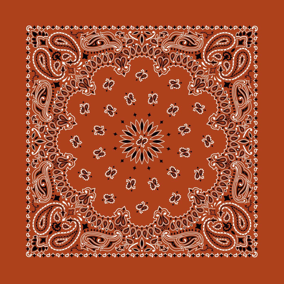 22" X 22" Traditional USA Paisley Bandanna