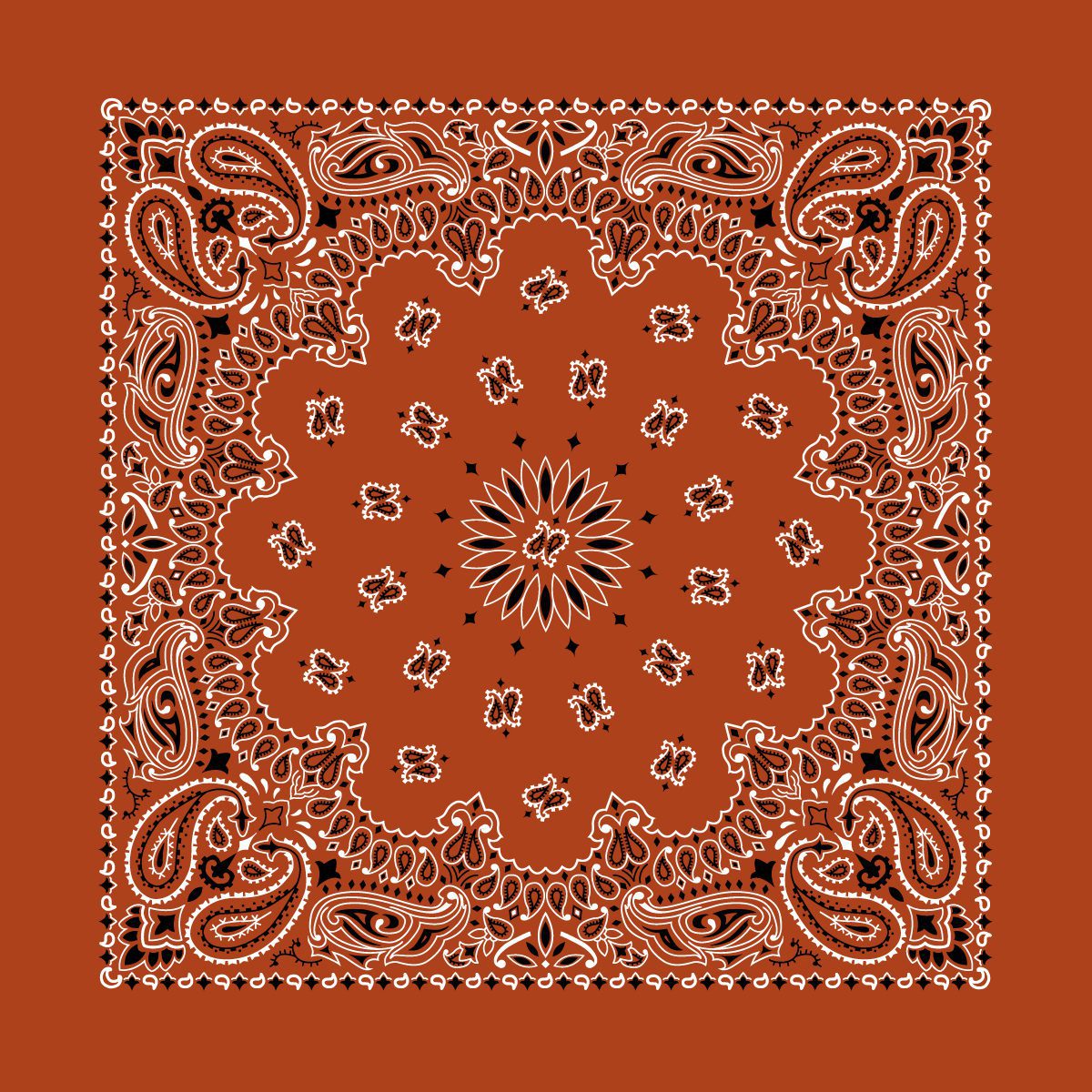 22" X 22" Traditional USA Paisley Bandanna