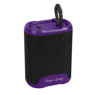 COLOR SPLASH SPEAKER